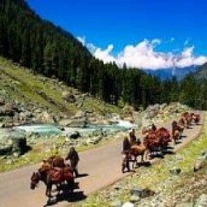 Kashmir Tour Agent