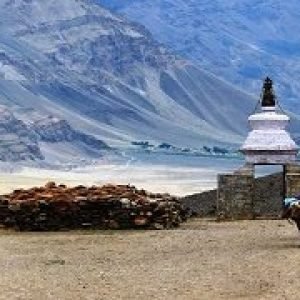 Best Leh Ladakh Tour 5 Nights