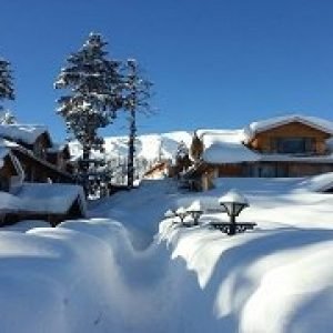 Best Kashmir Group Tour