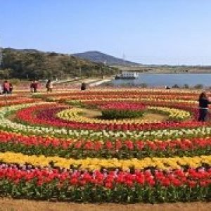 Budget Family Trip 5 Nights