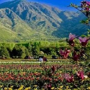 Explore Kashmir From Dhaka