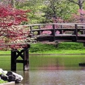 Cheap Kashmir Package