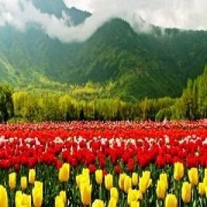 Budget Kashmir Package