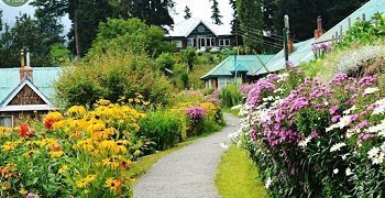 Alpine Nature Tour
