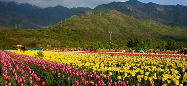 Kashmir Tour From Malaysia