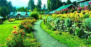 Chennai To Gulmarg Tour For Family