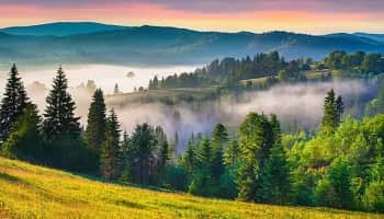 Best Family Tour For Gulmarg 5 Days