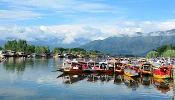 Srinagar Family Trip 6 Days