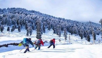 Luxury Kashmir Gulmarg Srinagar Honeymoon 4 Days