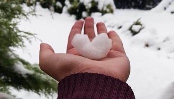 Winter Tour Package FoR Couple 6 Days