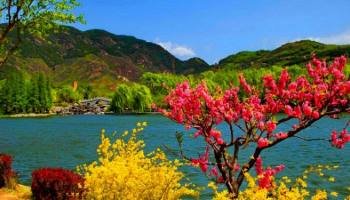 Holiday In Srinagar Kashmir 5 Days