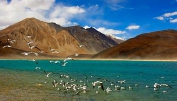 Kashmir Ladakh Packages 8 nights